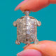 Victorian Silver Tortoise Snuff Box Locket Pendant